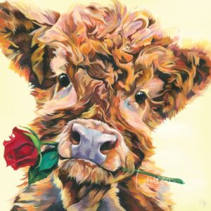 Highland Cow Valentine's Card