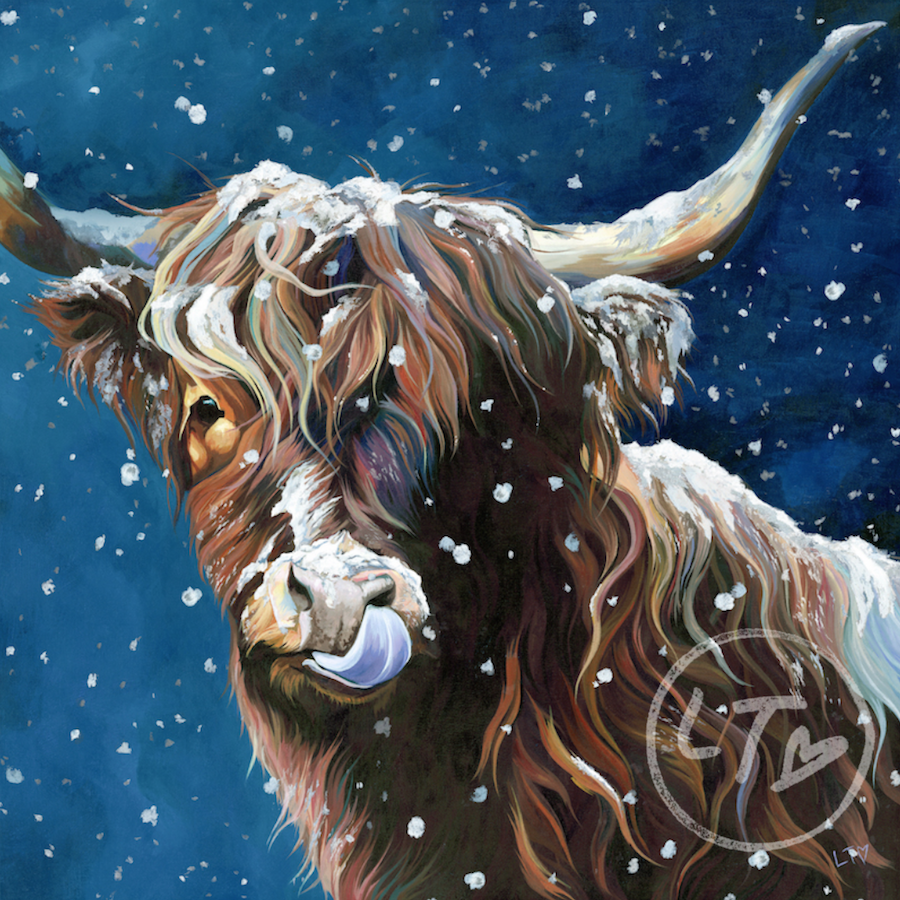 highland cow in snow