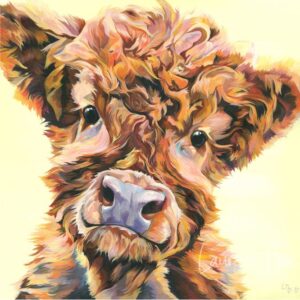 Highland Calf by Lauren Terry