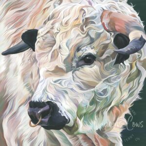 White Park Bull Art