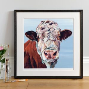 Large Hereford Bull Picture