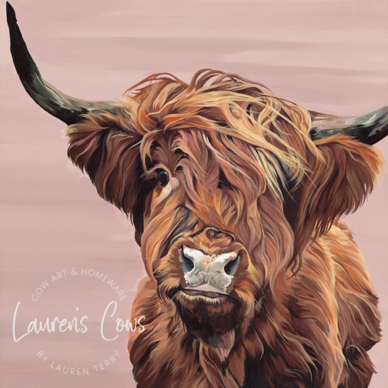 Highland Cow Picture