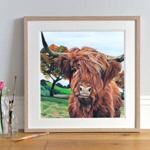 Highland Cattle Autumn