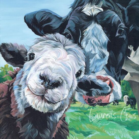 Herdwick Sheep and Cow painting